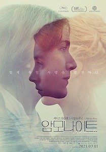 암모나이트