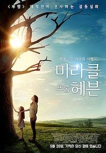 미라클 프롬 헤븐